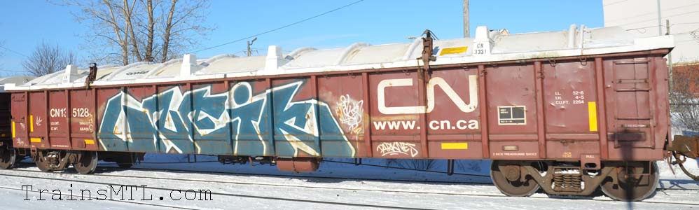 Car/wagon CN135128 right side / cot droit