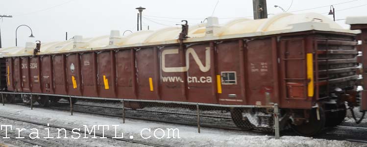 Car/wagon CN135234 right side / cot droit