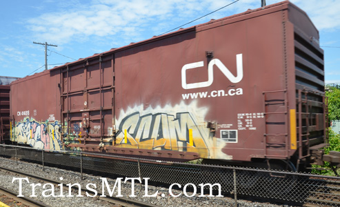 Car/wagon CN414818 right side / cot droit