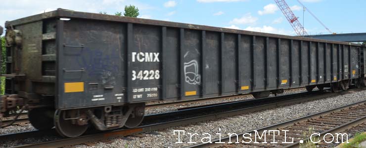 Car/wagon TCMX34228 right side / cot droit