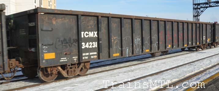 Car/wagon TCMX34231 right side / cot droit